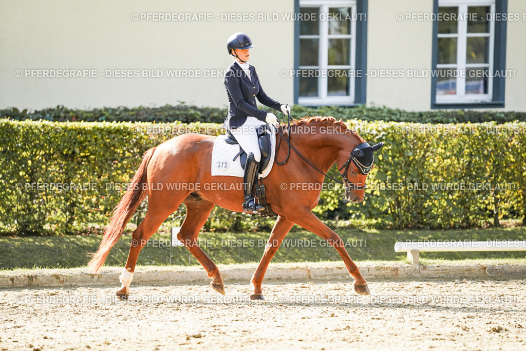 DSC07424 | Pferdegrafie