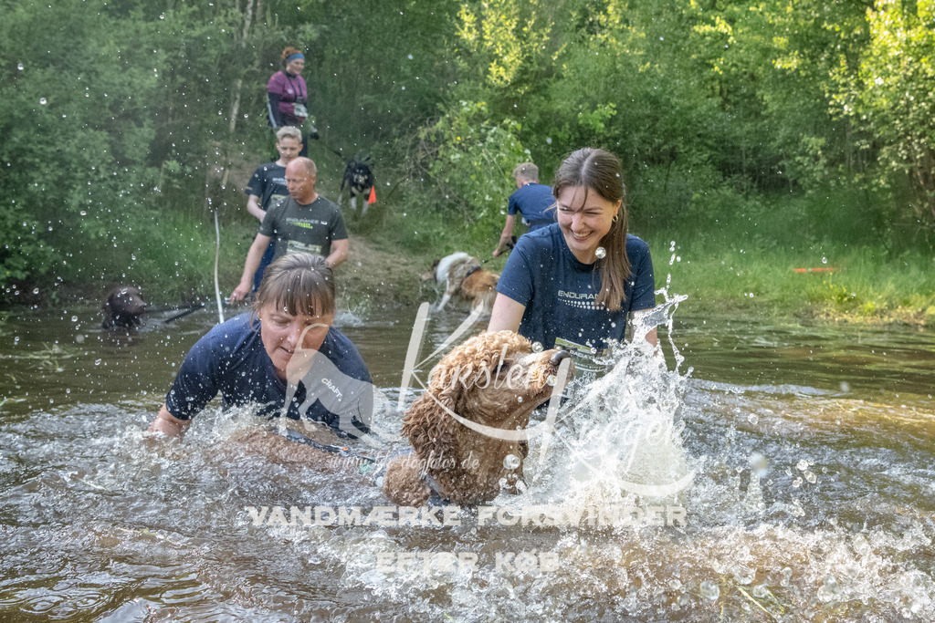 1745DKK992610 | kk-dogfotos