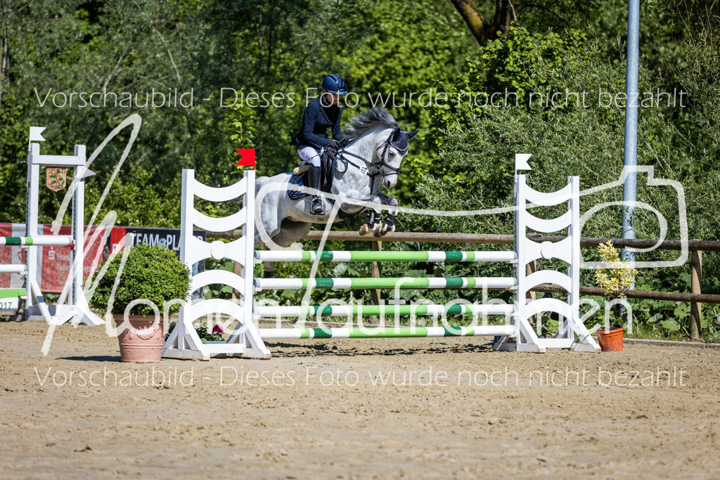 Donop24-A2Spr-172 | MomenTaufnahmen Pferdesportfotos