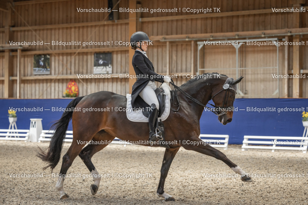 _D5A2757 | Emotionale Pferde- & People-Fotografie rund um Heidelberg, Leimen & Umgebung. Natürliche Fotos von Pferd, Mensch & Familie. Jetzt Termin sichern!