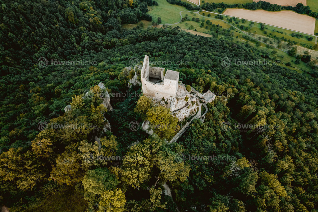 Ruine Reussenstein im Sommer | löwenblicke | shop