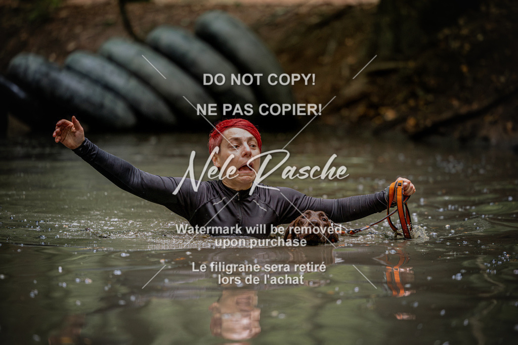nelerasche_SaWingst1130-1200_182 | nelerasche