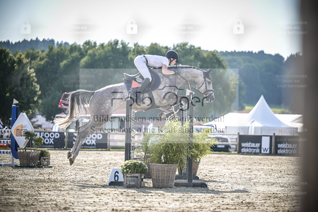 DOS_0201 | Entdecke hochwertige Reitturnierfotos von Foto Oger. Professionell, emotional und authentisch – jetzt Lieblingsmomente im Shop bestellen. - Realisiert mit Pictrs.com