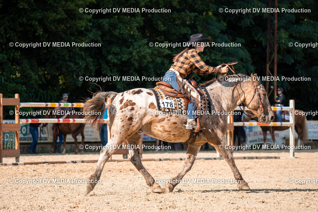 ZH100843 | dv-media-shop - Realisiert mit Pictrs.com