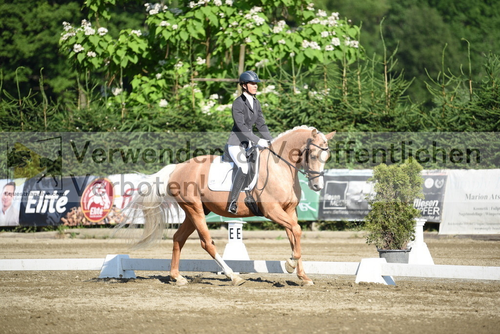 DSC_6989 | equestrian-live-com