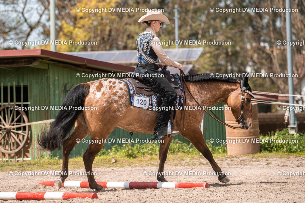 Balingen Tag 4-653 | dv-media-shop - Realisiert mit Pictrs.com