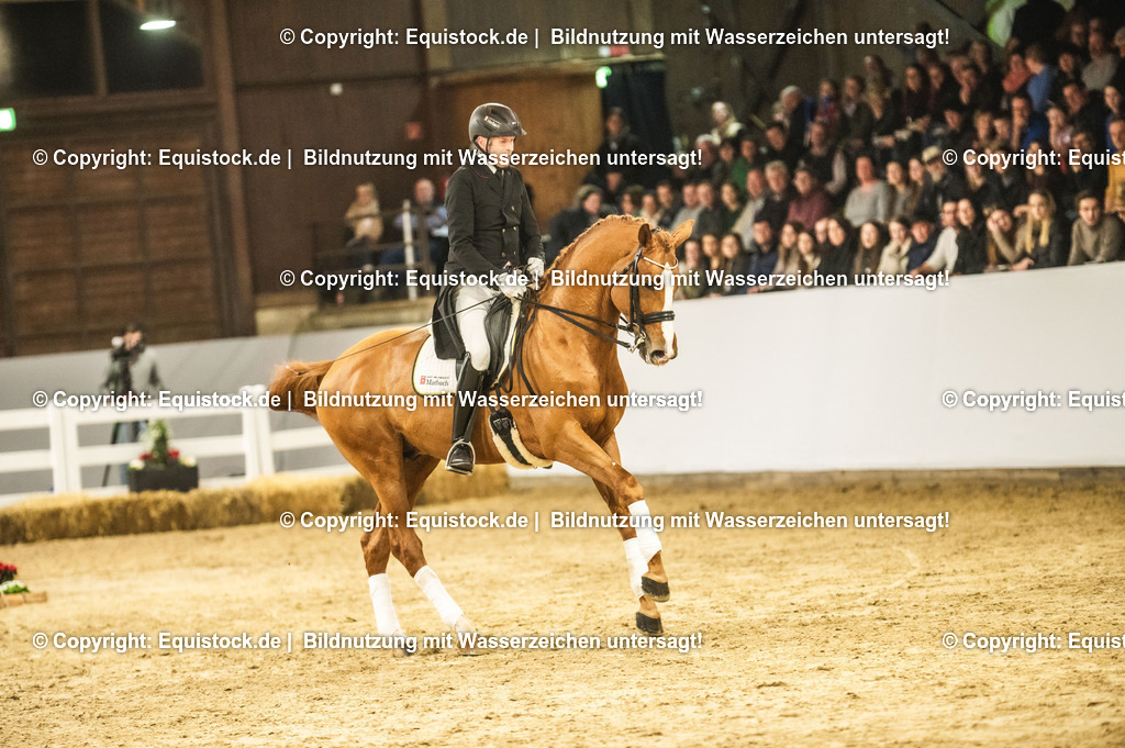 20240302_Hengstvorstellung_Marbach_TOMsPiC_0913 | equistock