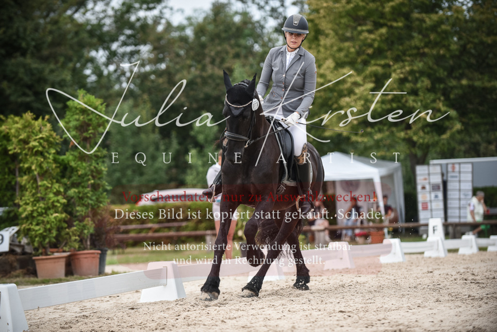 DSC_8340 | Pferde- und Turnierfotografie in Westsachsen. Pferdeportraits, Auftragszeichnungen und intuitive Kunst.