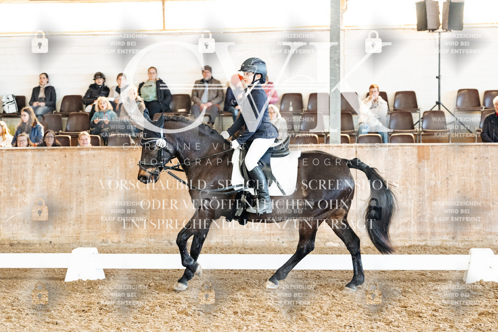 CK900251 | Turnierfotografie Pferdefotografie Trier Rheinland-Pfalz Pferdesport Reitsport Tierfotografie Sportfotografie Pferdevideo Pferdevideografie Equestrianvideography equestrianphotography  - Realisiert mit Pictrs.com
