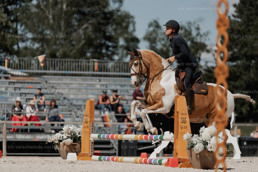 WE_ST_Stoib_344_PI2025_1325 | Pferd International München 2025
