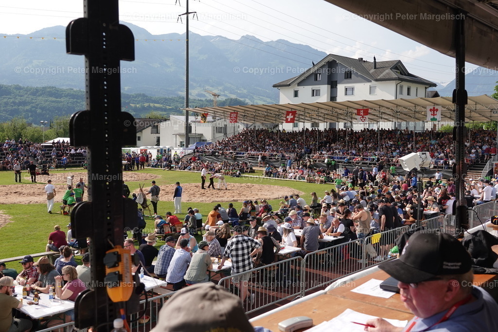 DSC04488 | Schwingen - Realisiert mit Pictrs.com