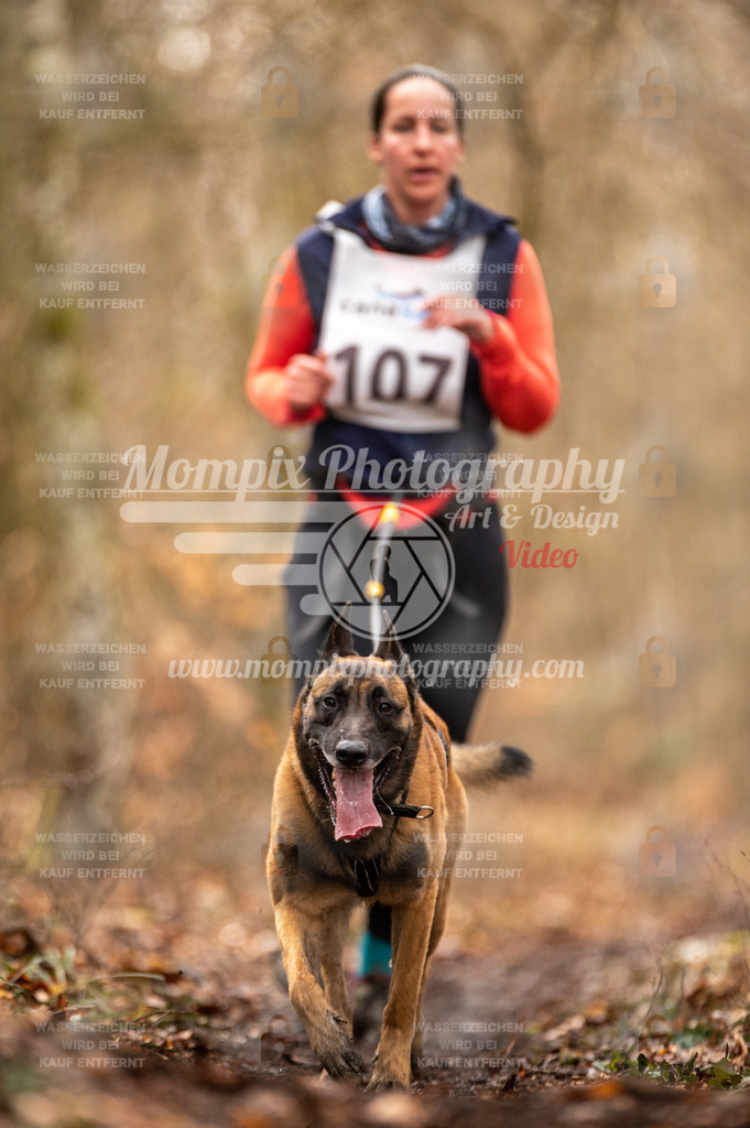 Reiat2023_SON_CaniXRun_5km_W-58 | PayLife