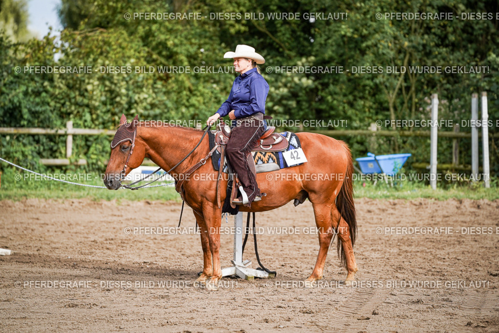 DSC00243 | Pferdegrafie