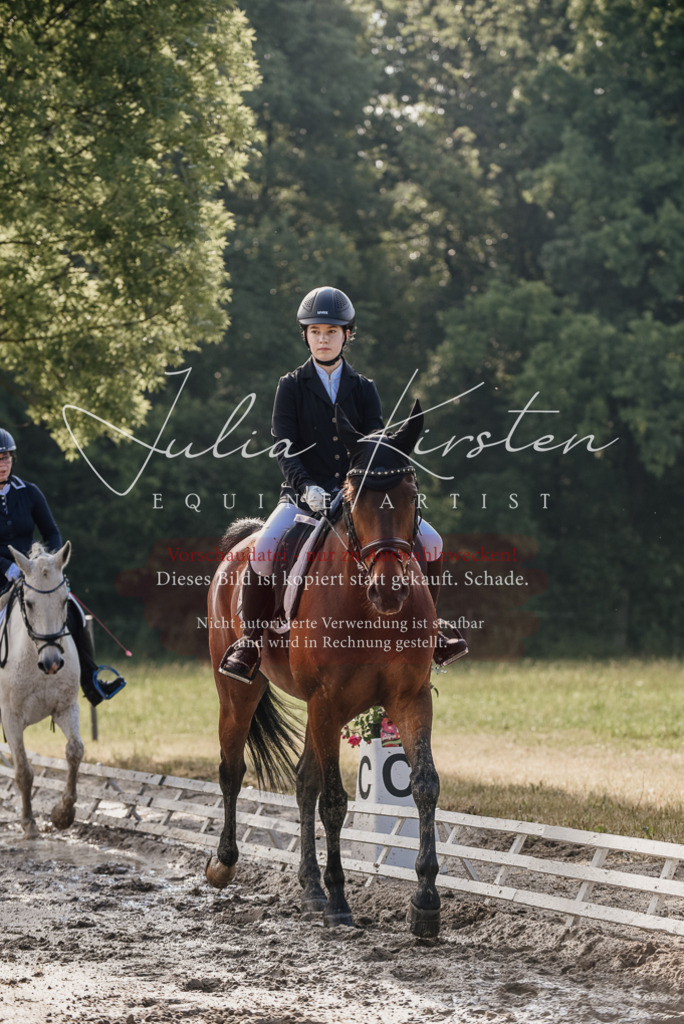 DSC_7908 | Pferde- und Turnierfotografie in Westsachsen. Pferdeportraits, Auftragszeichnungen und intuitive Kunst.