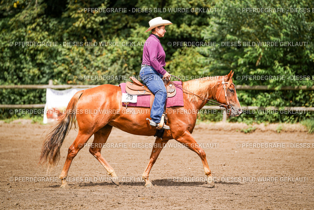 DSC07076 | Pferdegrafie