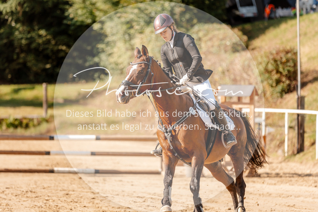 3I6A3306 | Stimmungsvolle Portraits und Reitsportfotografie im Ruhrgebiet und im Münsterland.

Pferdefotografie, Hundefotografie, Tierfotografie, Reportagen, Portraits von Tier und Mensch, Turnierfotografie in Bochum, Recklinghausen, Marl, Haltern am See, Dülmen.. - Realisiert mit Pictrs.com