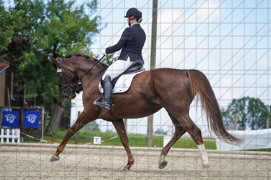 20230826-FAH05569 | Forstinning, 2023, Dressurturnier, Turniersportbilder, Turnierfotografen Bayern, Fotoagentur Herrmann, Reitsportfotografie, Turnierbilder