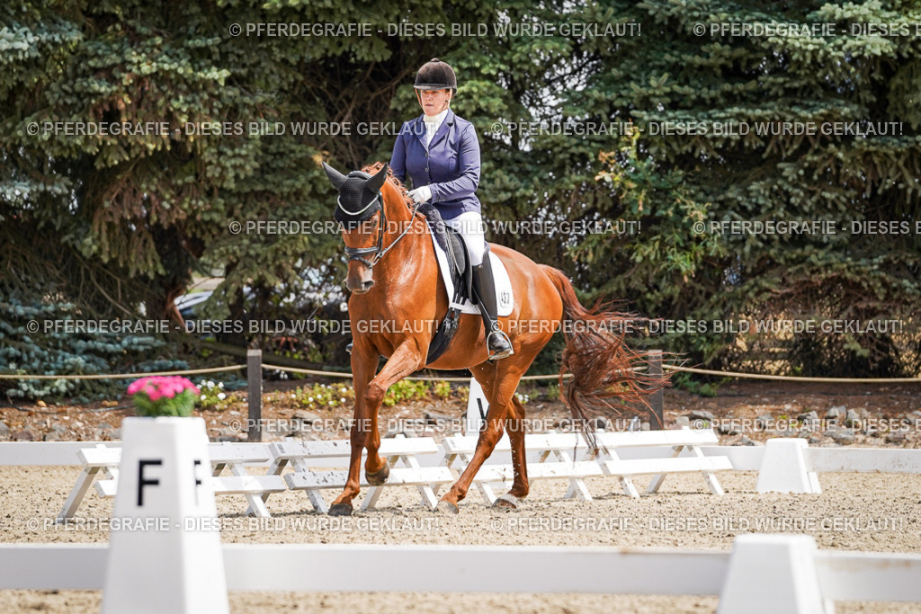 DSC00644 | Pferdegrafie