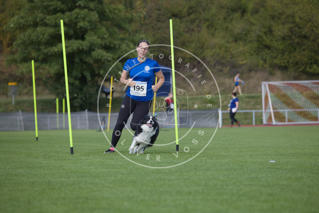 0L8A3450 | Hundefotografie, Tierfotograf, Pfotenfotografie, Fotoshooting Hund, Hunde Portrait, Hundesport, Hundeportraits, Heideshooting, Hunde, Sportfotograf, Hundefotograf, Turnierhundsport, THS,  - Realisiert mit Pictrs.com