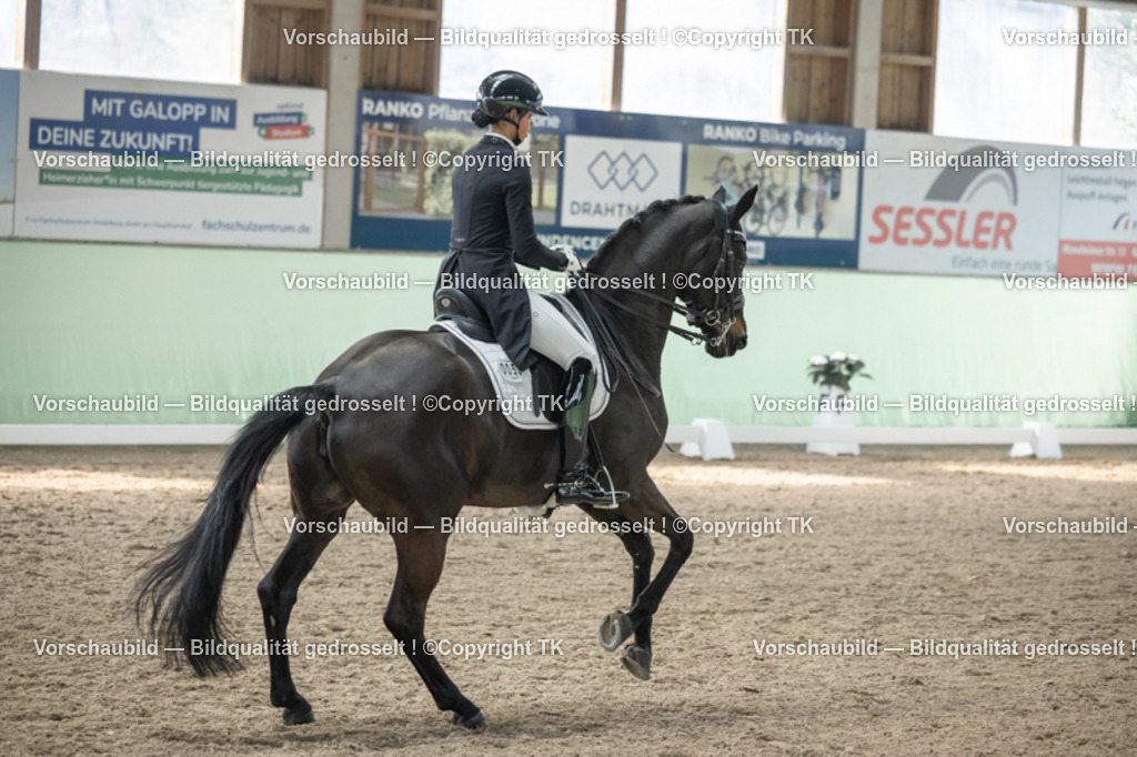 _D5A4786 | Emotionale Pferde- & People-Fotografie rund um Heidelberg, Leimen & Umgebung. Natürliche Fotos von Pferd, Mensch & Familie. Jetzt Termin sichern!