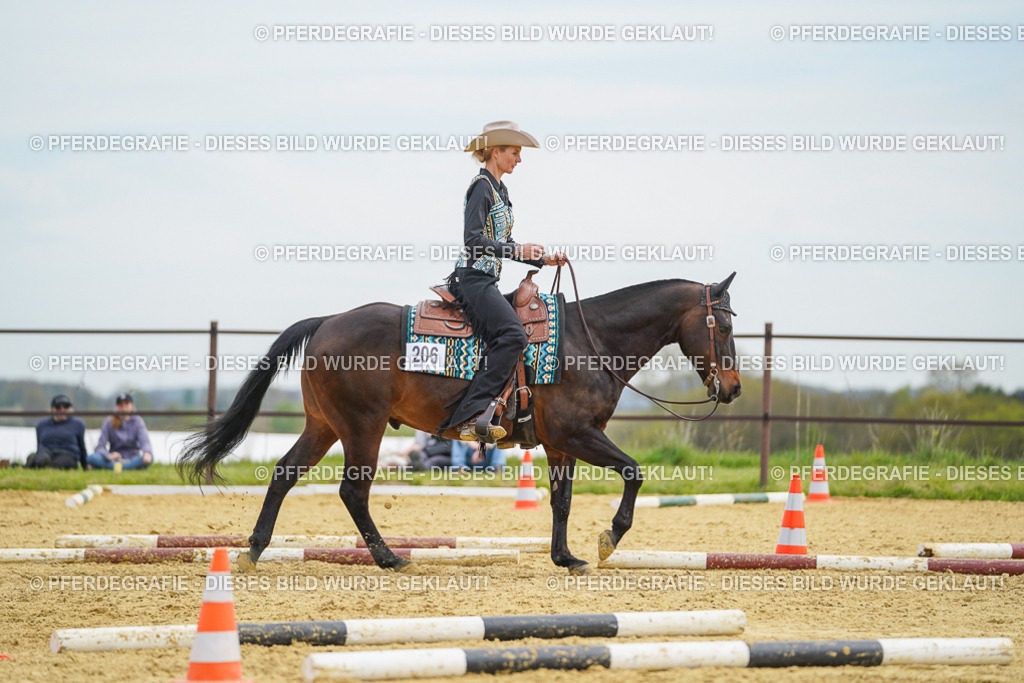 DSC03177 | Pferdegrafie