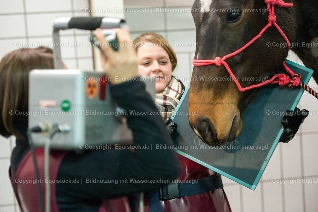 20170113_R__ntgen_0045 | Foto: Thomas Hartig