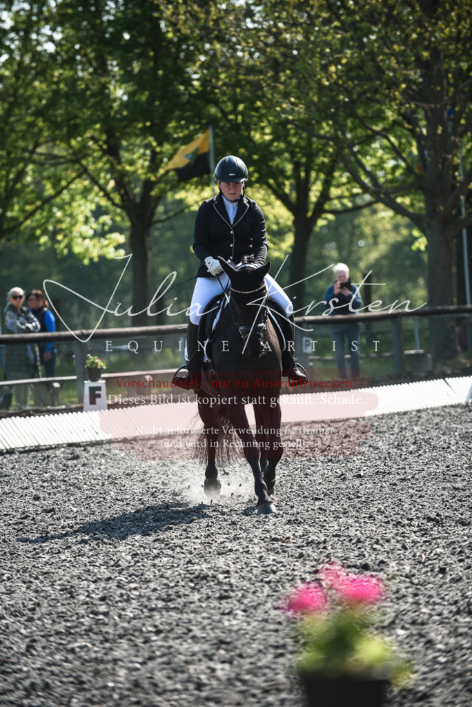 DSC_8801 | Pferde- und Turnierfotografie in Westsachsen. Pferdeportraits, Auftragszeichnungen und intuitive Kunst.