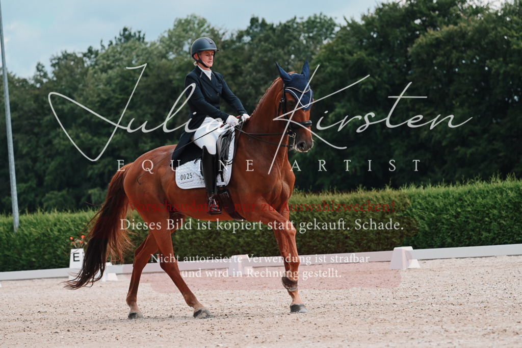 DSC_4234 | Pferde- und Turnierfotografie in Westsachsen. Pferdeportraits, Auftragszeichnungen und intuitive Kunst.