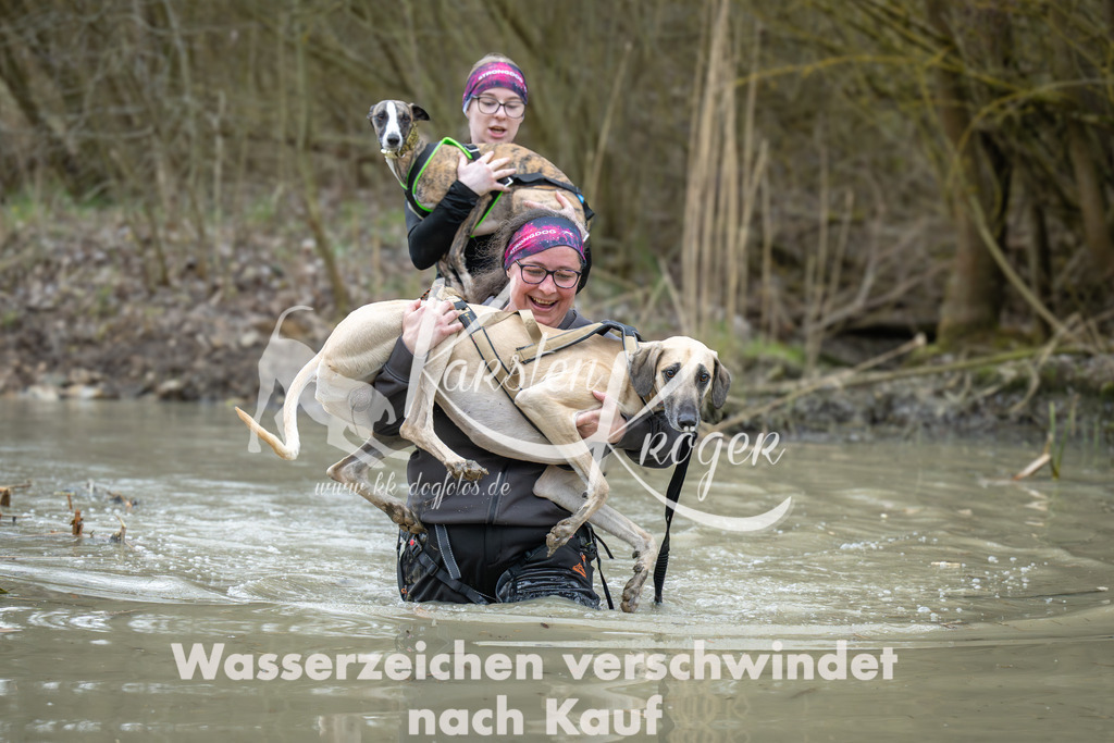 1637_ZZ95962 | kk-dogfotos