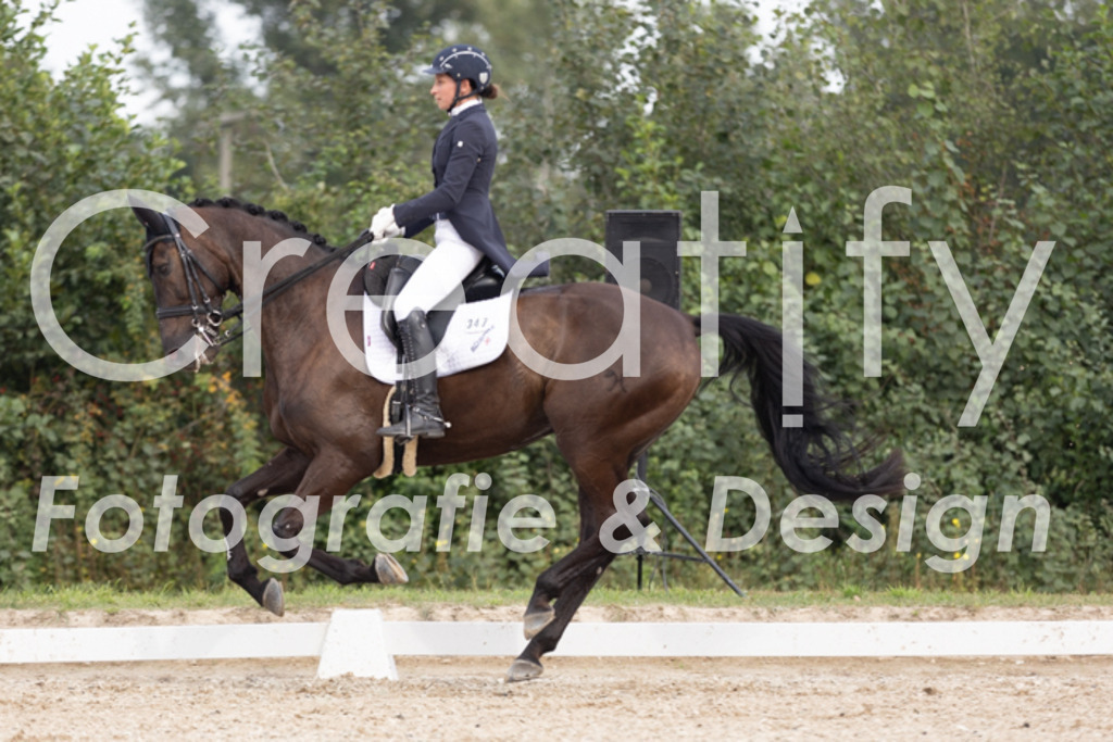 IMG_4957 | Creatify Fotografie