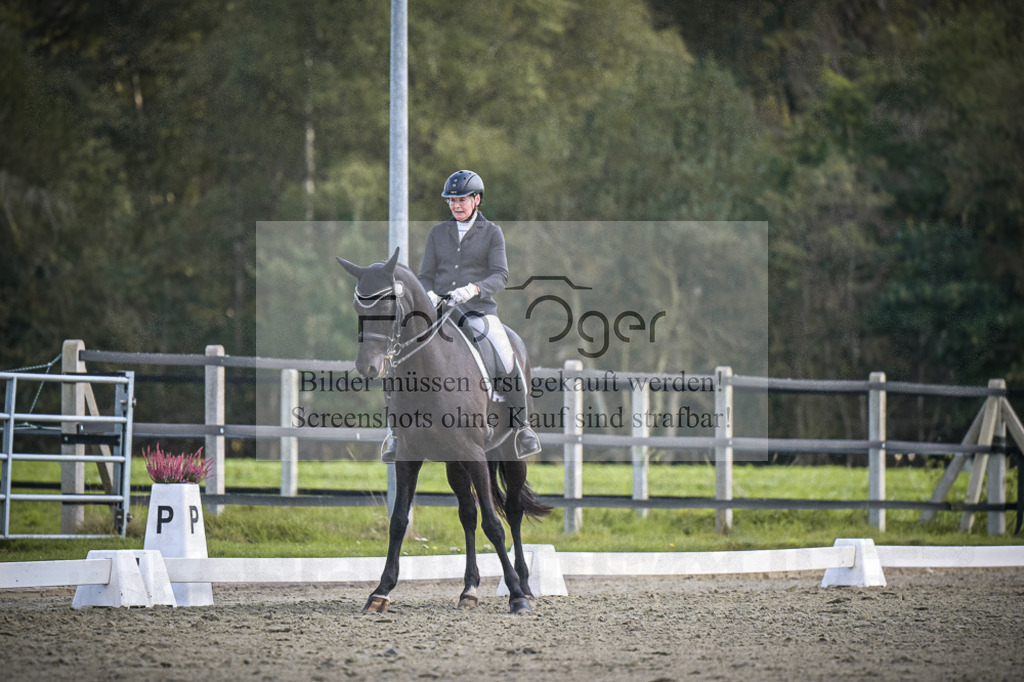 DOS_0779 | Entdecke hochwertige Reitturnierfotos von Foto Oger. Professionell, emotional und authentisch – jetzt Lieblingsmomente im Shop bestellen.Deutschlandweite Turnierfotografie. - Realisiert mit Pictrs.com