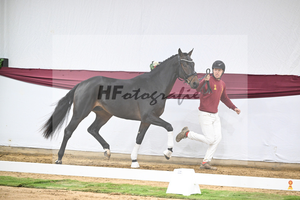 Kat-Nr. 46 Zenetti x Ritz Carlton_Udo Kast_47251608 | hf-fotografie - Realisiert mit Pictrs.com