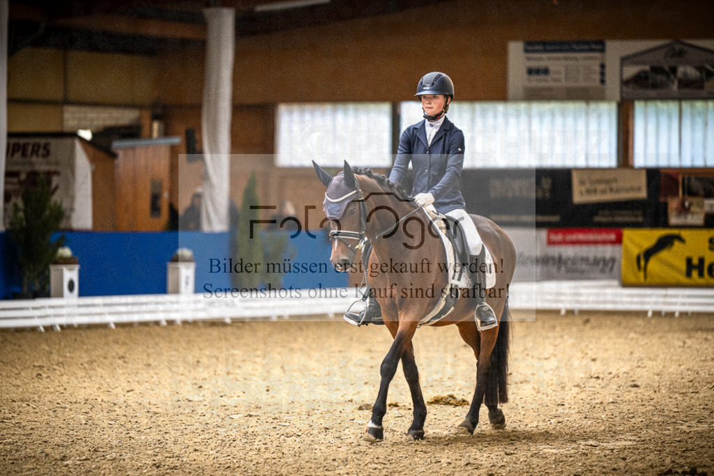 DOS_1091 | Entdecke hochwertige Reitturnierfotos von Foto Oger. Professionell, emotional und authentisch – jetzt Lieblingsmomente im Shop bestellen.Deutschlandweite Turnierfotografie. - Realisiert mit Pictrs.com