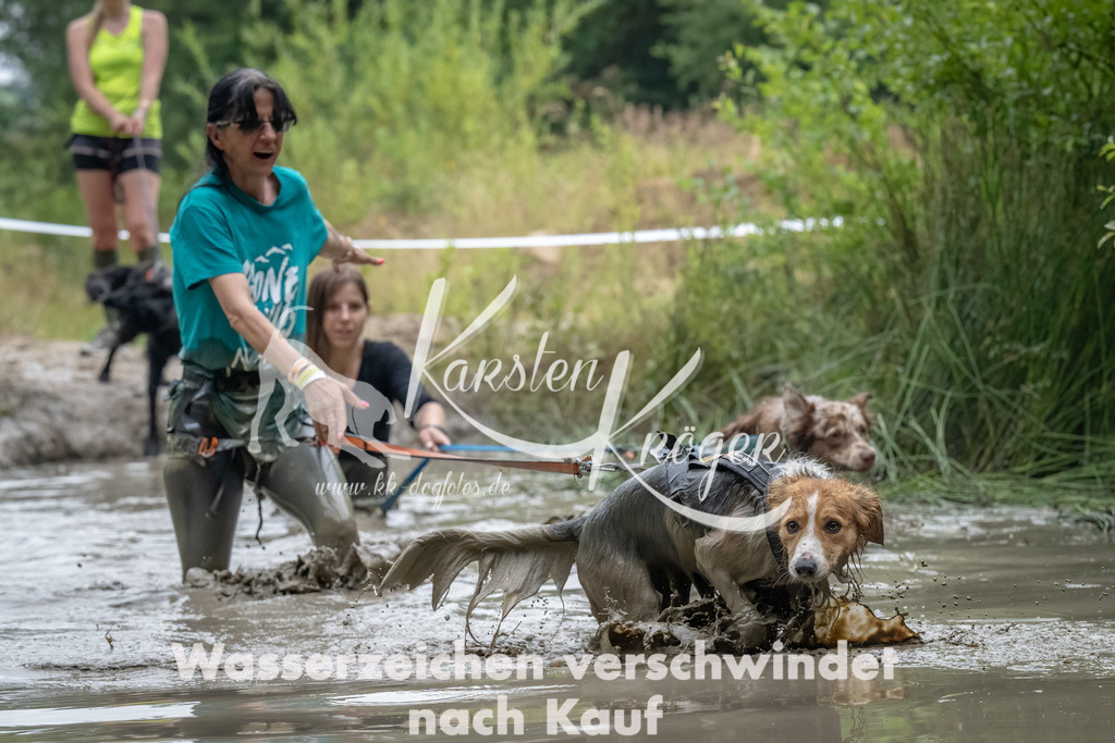 1308_ZZ93067 | kk-dogfotos