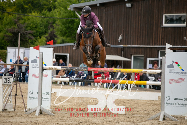 IMG_5747 | Turniersportfotografie; Pferdefotografie; Dressurfotografie