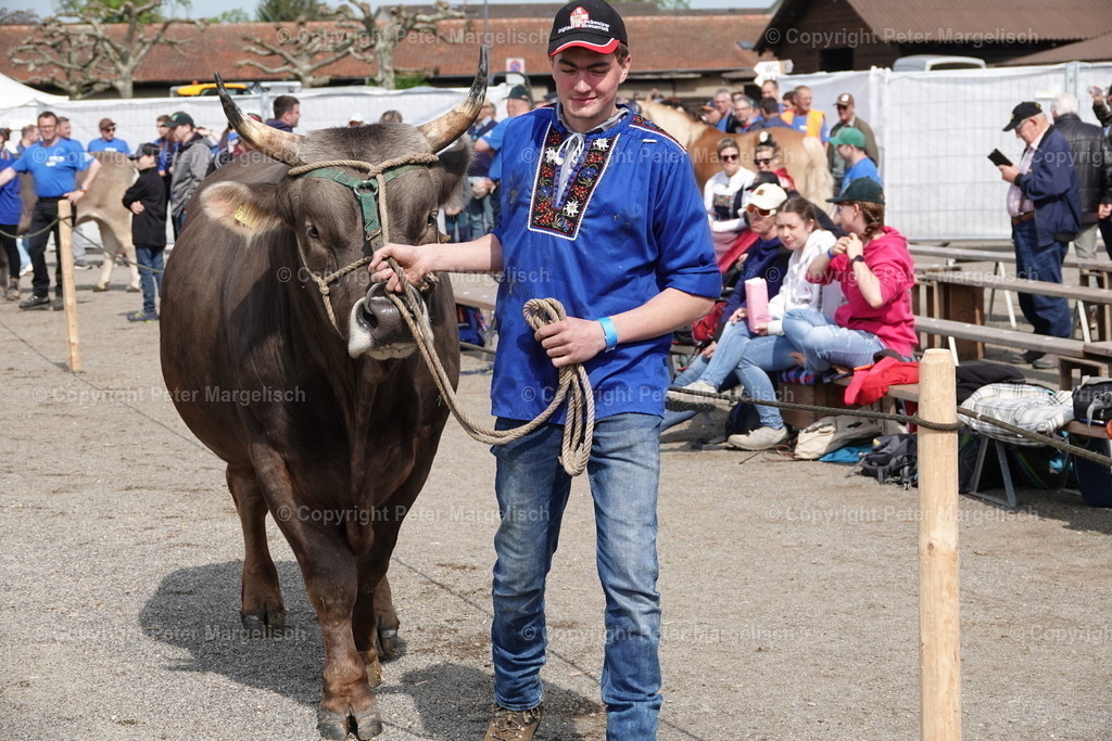 DSC03632 | Schwingen - Realisiert mit Pictrs.com