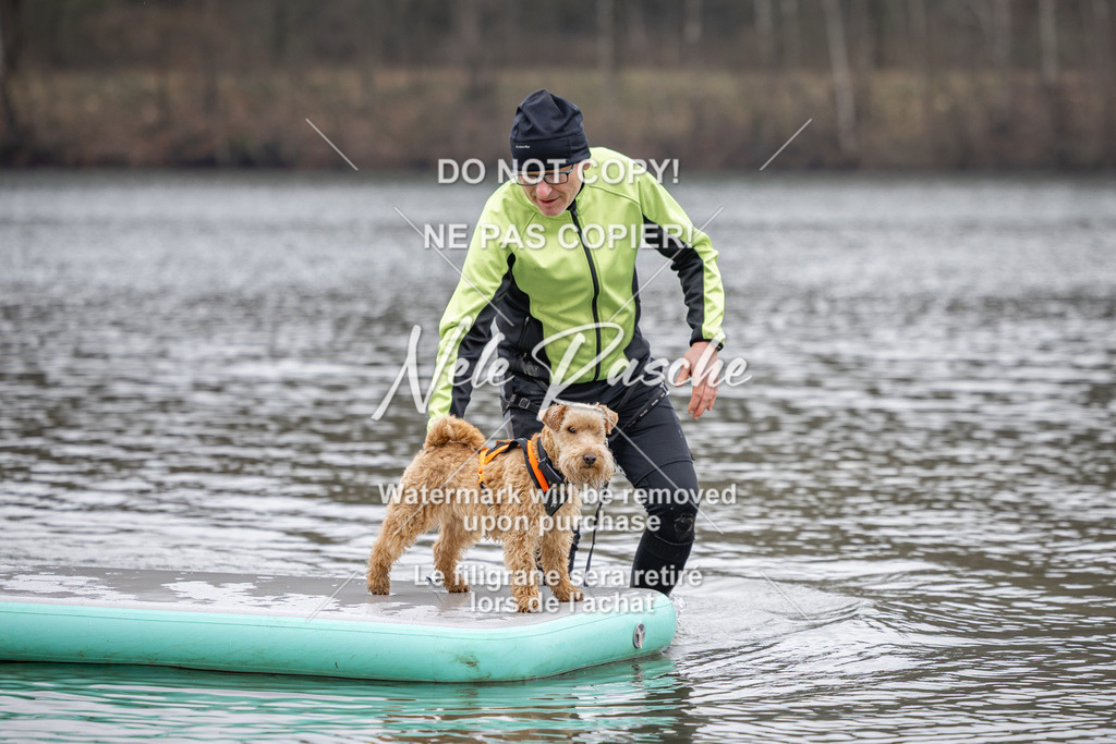 nelerasche_Hulsbeek_Sa1330-1430_32 | nelerasche