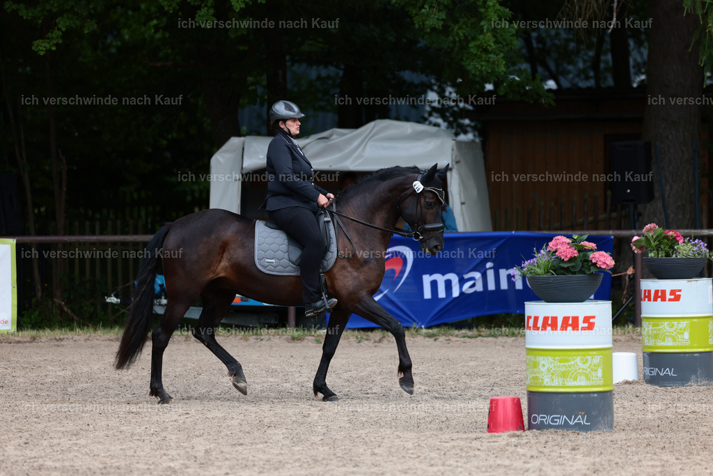 KlasseE_Stoibphotography_CAM21989.JPG | working equitationturnier fotograf videograf stoibphotography marixx film working equitation deutschland reitsport turnierfotografie eventfotografie equestrian events