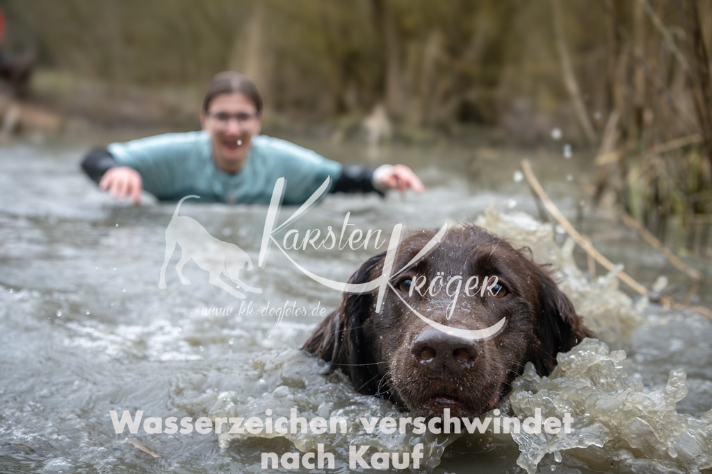 1032_ZZ90593 | kk-dogfotos