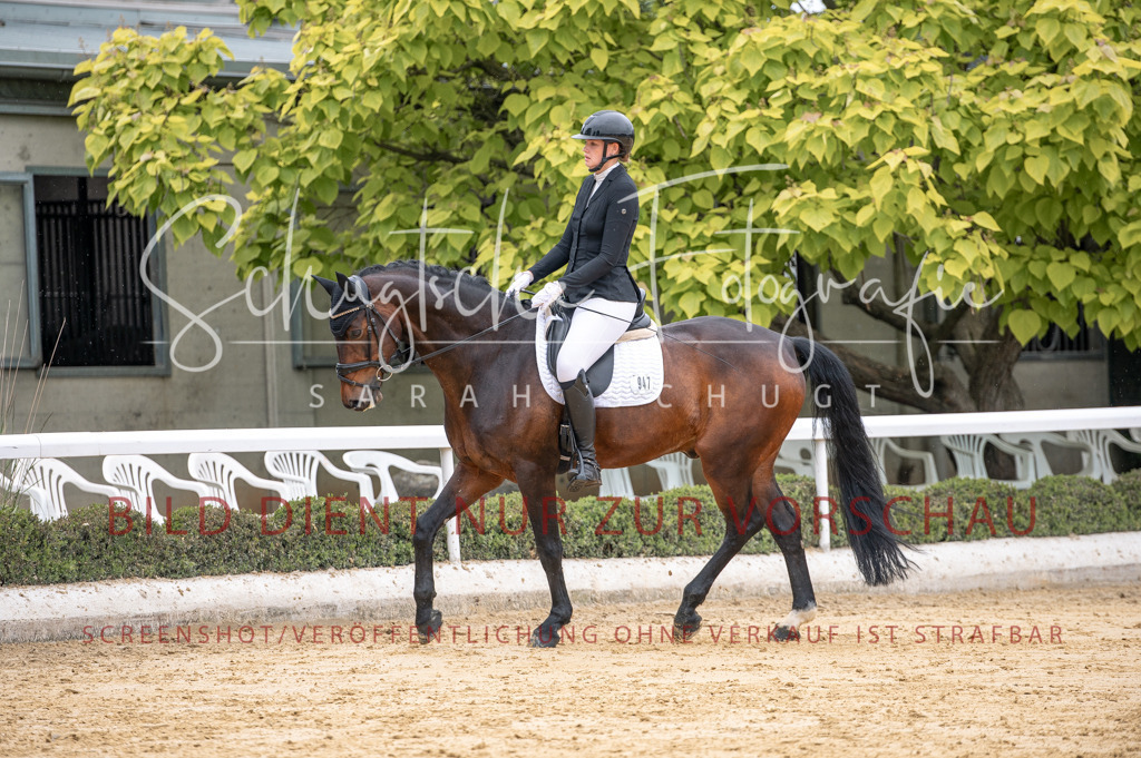 Schugtsche-Aluta25-41.Amat-Dressurprf.A_-135 | Schugtsche Fotografie - Realisiert mit Pictrs.com