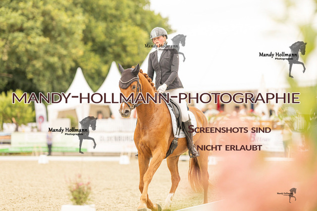 SW 4-161 | mandyhollmannphotographie