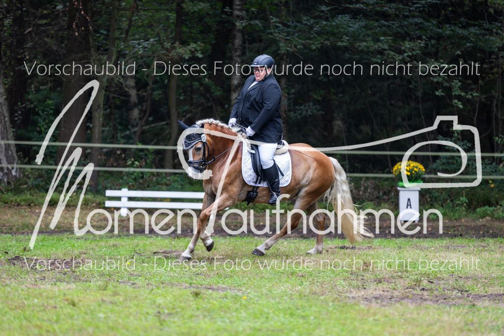 HB-A-Dressur-124 | MomenTaufnahmen Pferdesportfotos