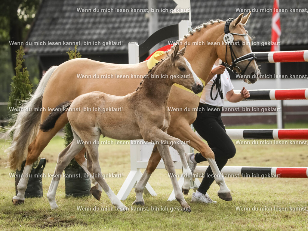 598A2647-2 | photographylinaismer - Realisiert mit Pictrs.com