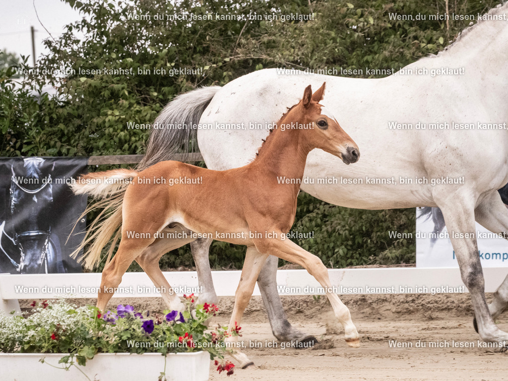 A10I9490 | photographylinaismer - Realisiert mit Pictrs.com