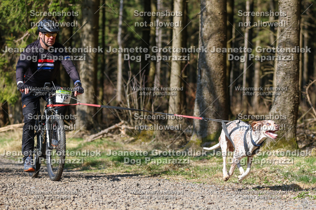 Dog Paparazzi - VCC26-164 | Dog Paparazzi Jeanette Grottendiek Fotografie & Videografie - Realisiert mit Pictrs.com