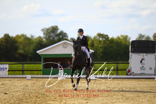 DKP45597 | Turniersportfotografie; Pferdefotografie; Dressurfotografie