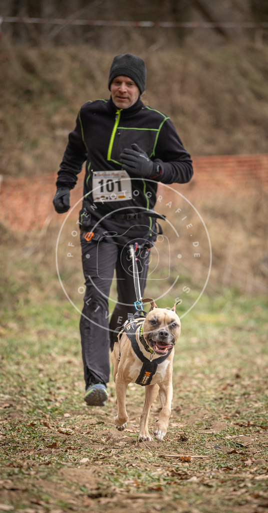 Pfotenfotografie_DV3A7445 | Hundefotografie, Tierfotograf, Pfotenfotografie, Fotoshooting Hund, Hunde Portrait, Hundesport, Hundeportraits, Heideshooting, Hunde, Sportfotograf, Hundefotograf, Turnierhundsport, THS,  - Realisiert mit Pictrs.com