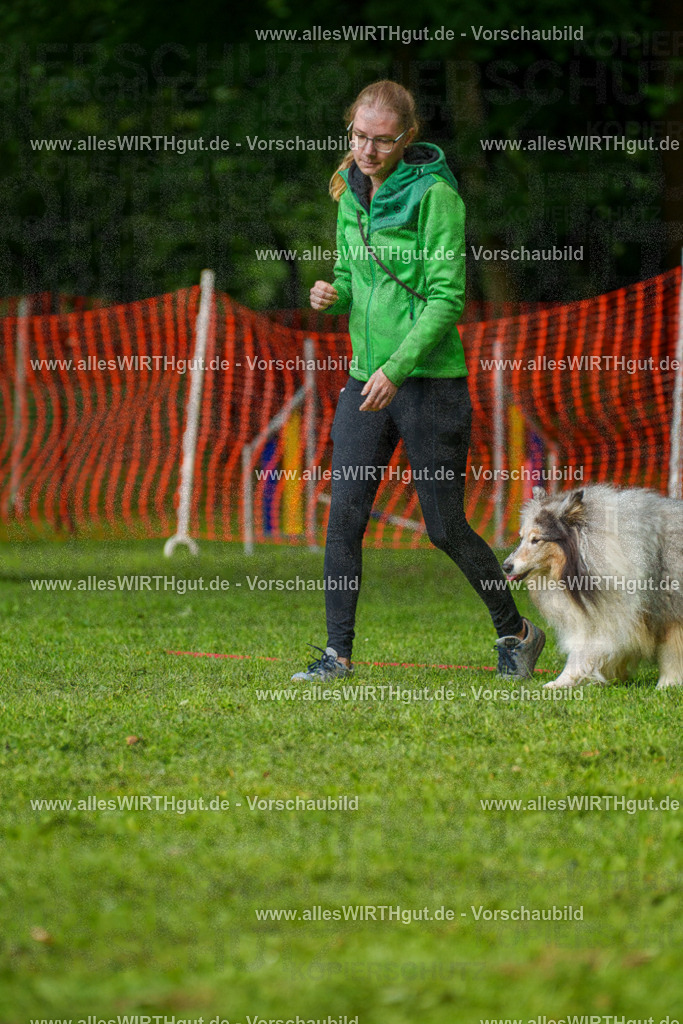 @allesWIRTHgut_Tierfotografie - www.allesWIRTHgut.de - 7R502104 | Professionelle Tierfotografie in Mönchengladbach von Daniel Wirth (allesWIRTHgut). Liebevolle & natürliche Bilder von Hunden & Katzen für unvergessliche Erinnerungen.