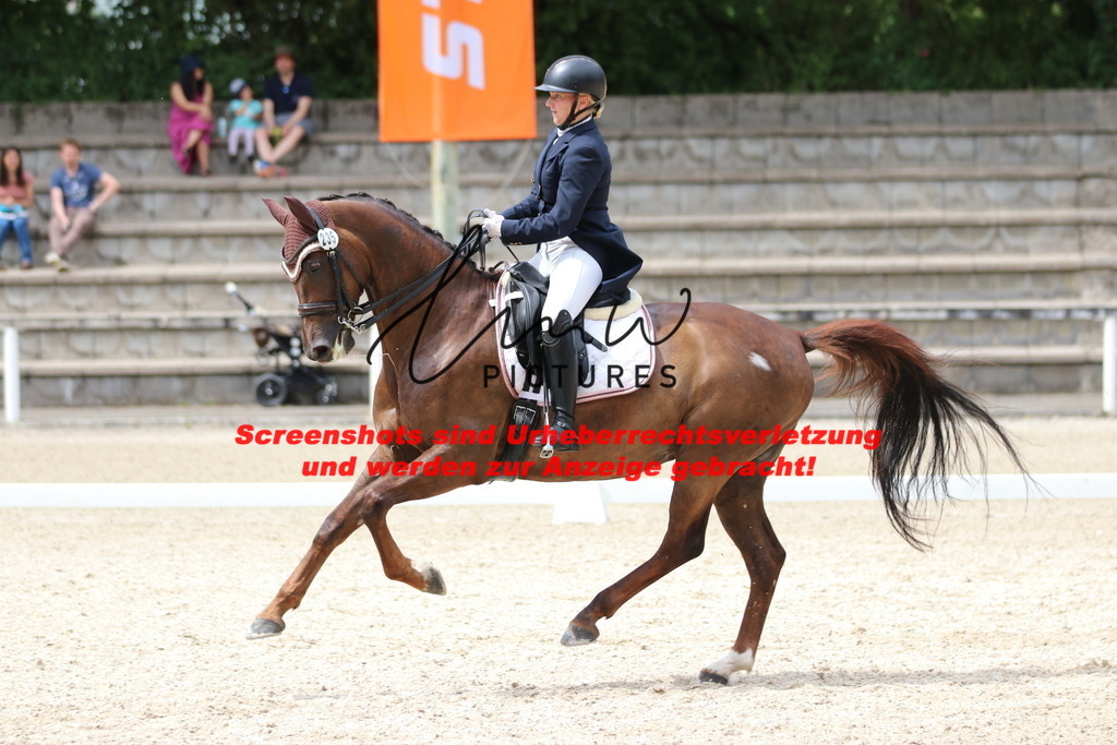 IMG_9809 | lmwpictures - Realisiert mit Pictrs.com