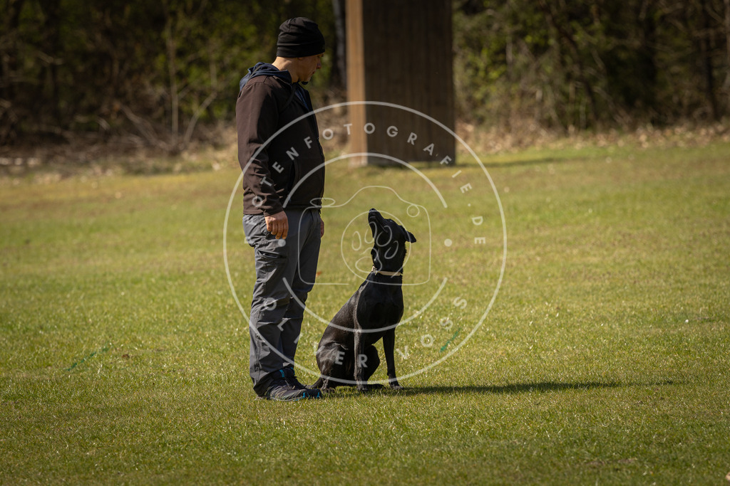 Pfotenfotografie_DV3A1268 | Hundefotografie, Tierfotograf, Pfotenfotografie, Fotoshooting Hund, Hunde Portrait, Hundesport, Hundeportraits, Heideshooting, Hunde, Sportfotograf, Hundefotograf, Turnierhundsport, THS,  - Realisiert mit Pictrs.com